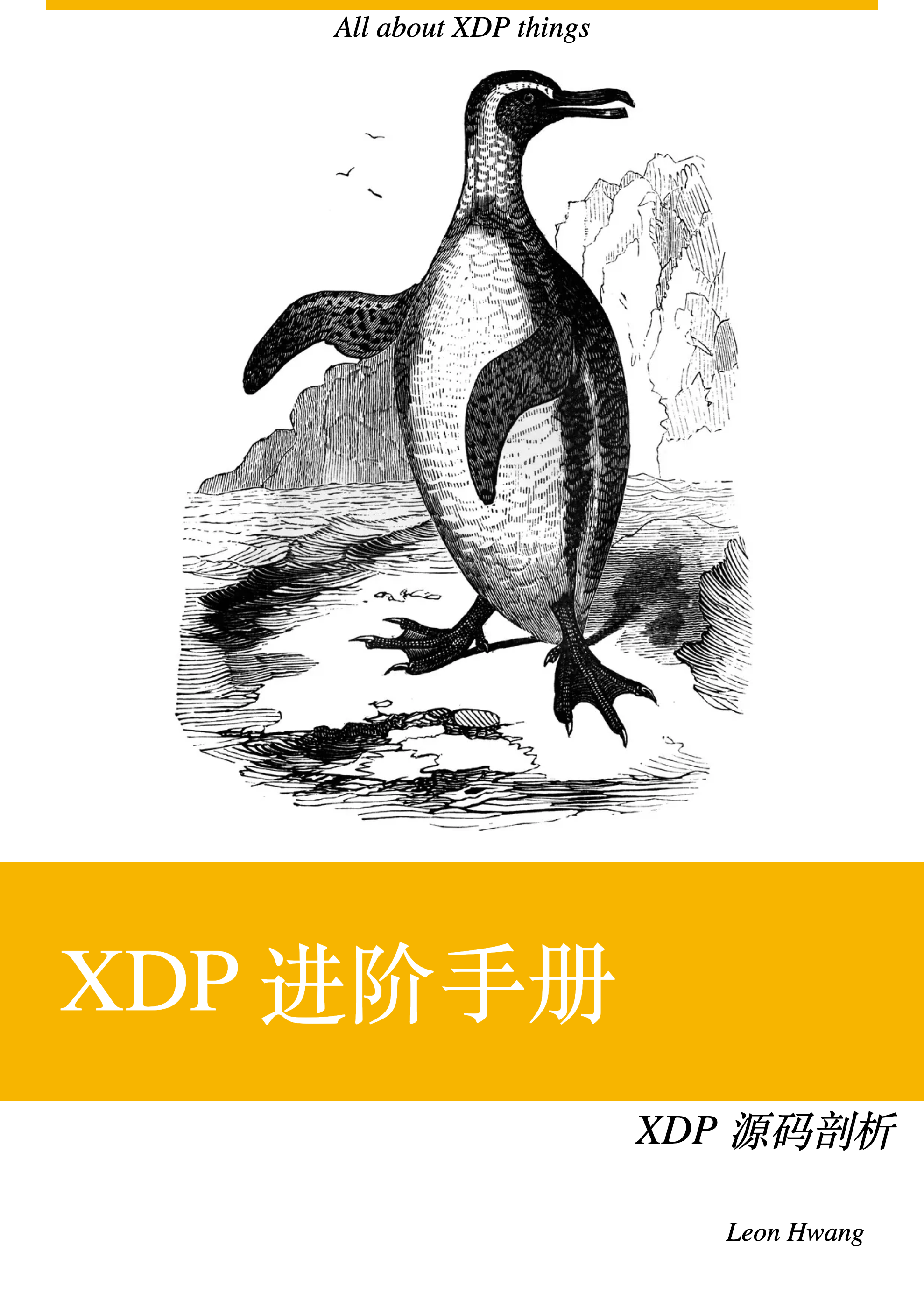 XDP 进阶手册